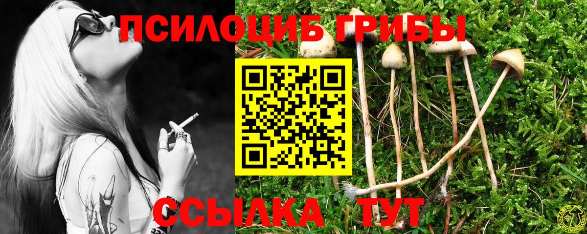 Псилоцибиновые грибы прущие грибы Россошь