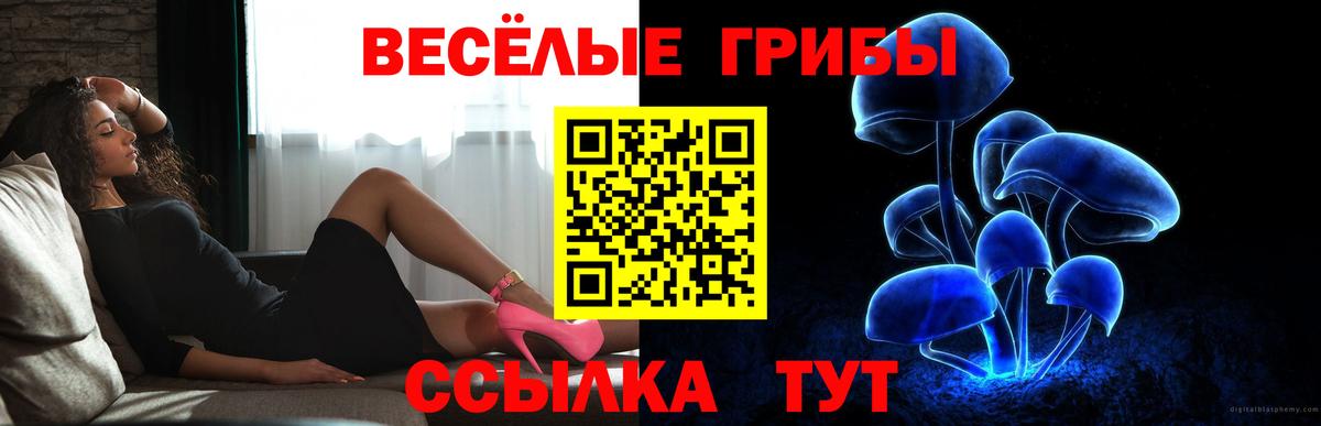 Псилоцибиновые грибы мухоморы  как найти закладки  Россошь  Вход с VPN 